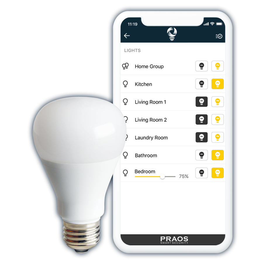 Lighting Control