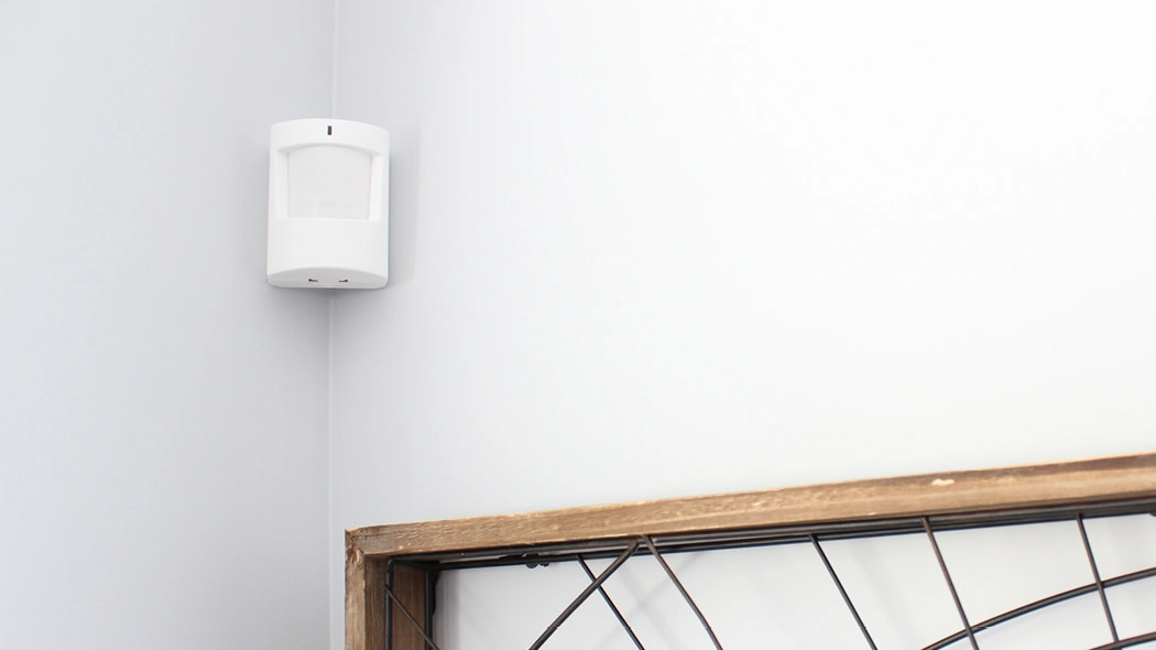 Motion Detector Motion Detector